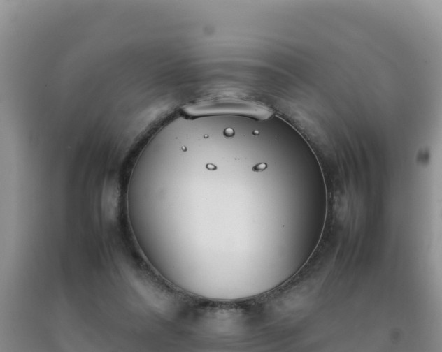 X0000092100304200709191312