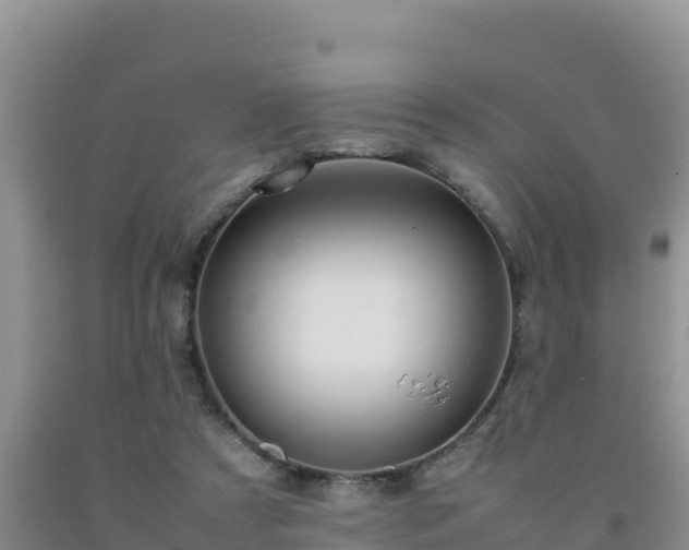 X0000092100305200709191312