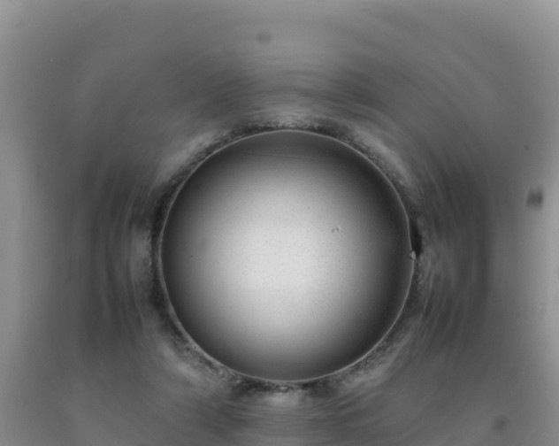 X0000092100306200709191312