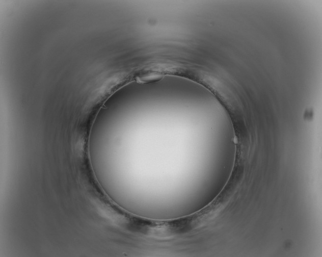 X0000092100309200709191312