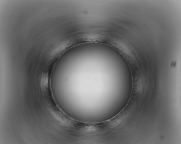 X0000092100310200709191312