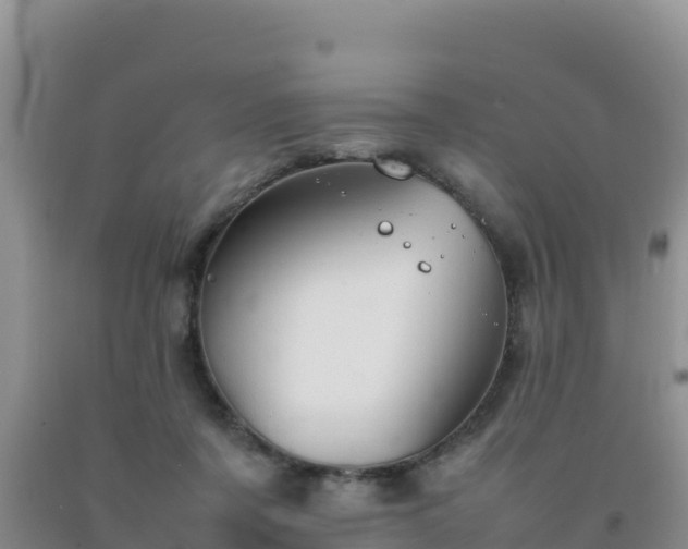 X0000092100311200709191312