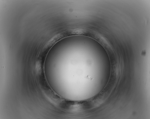 X0000092100312200709191312