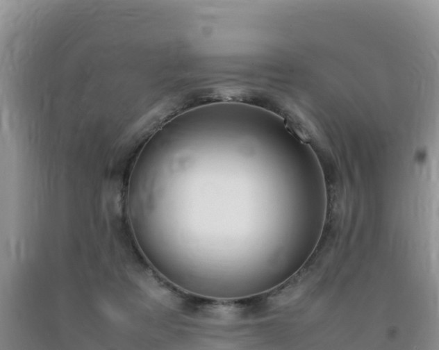 X0000092100313200709191312