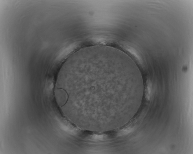 X0000092100314200709191312