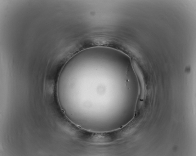 X0000092100315200709191312