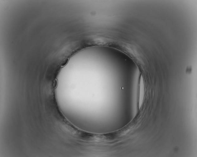 X0000092100317200709191312