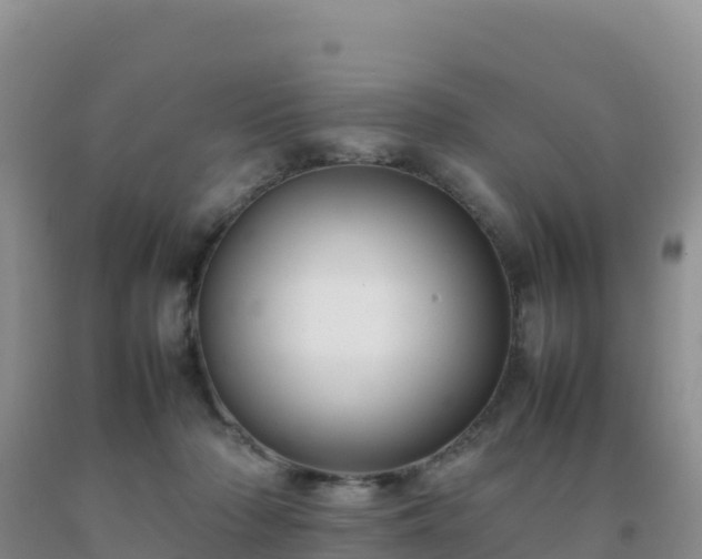 X0000092100318200709191312