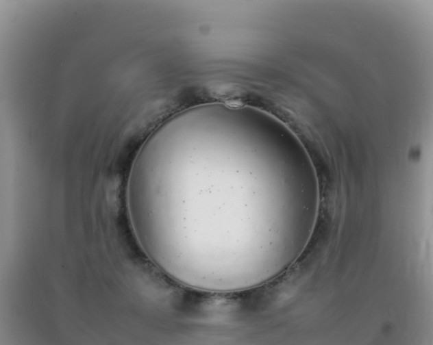 X0000092100319200709191312