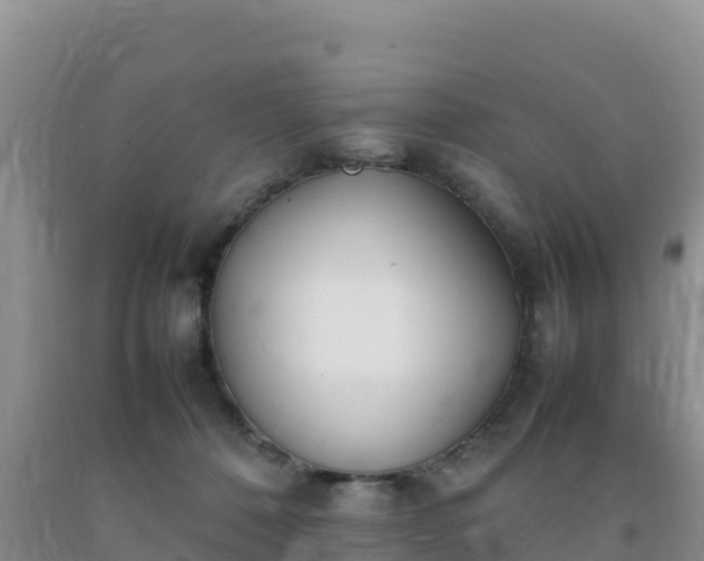 X0000092100320200709191312