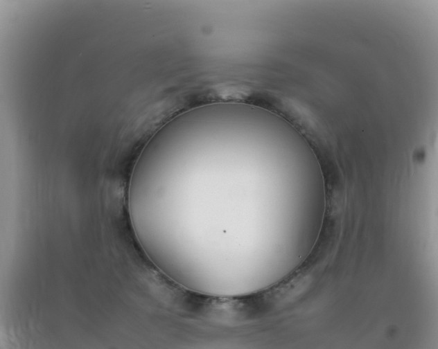 X0000092100321200709191312