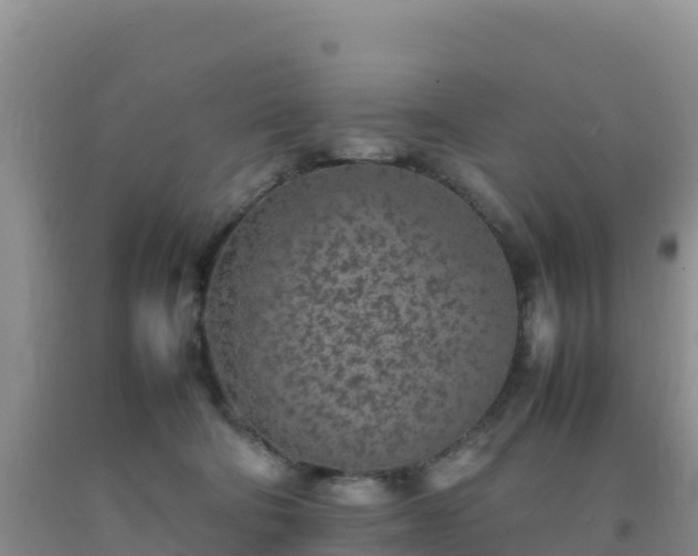 X0000092100322200709191312