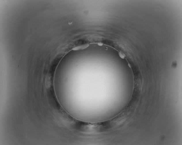 X0000092100323200709191312