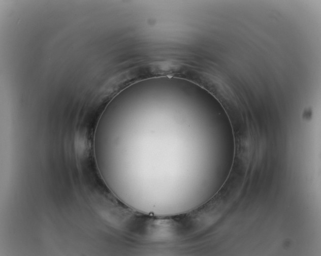 X0000092100324200709191312