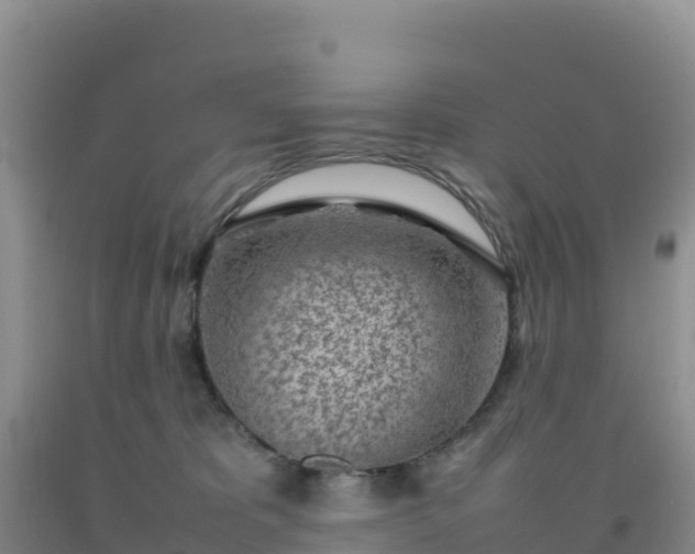 X0000092100325200709191312