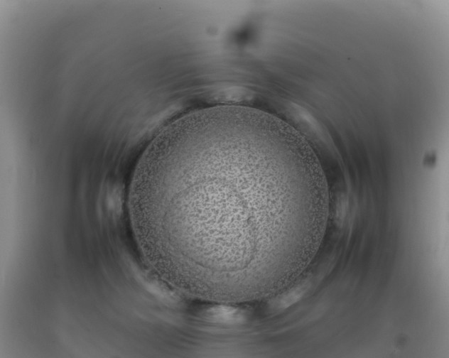 X0000092100326200709191312