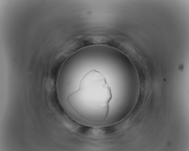 X0000092100327200709191312