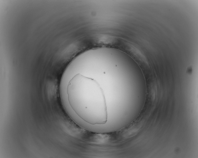 X0000092100328200709191312