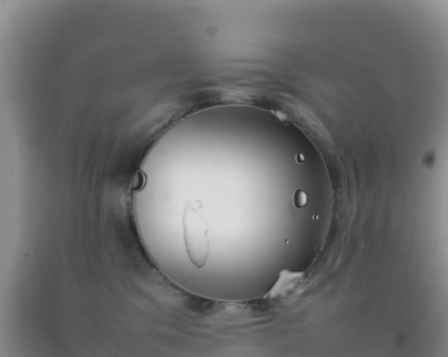 X0000092100329200709191312