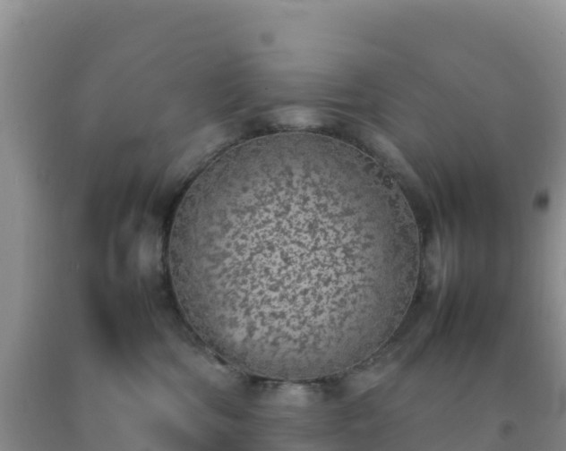 X0000092100330200709191312