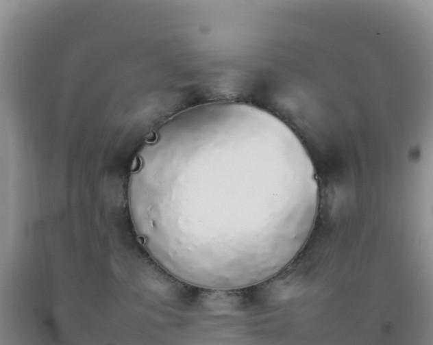 X0000092100331200709191312