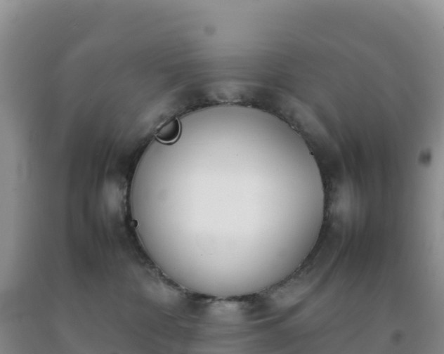 X0000092100332200709191312