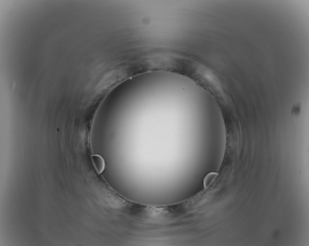 X0000092100333200709191312