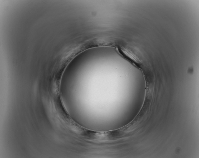 X0000092100335200709191312