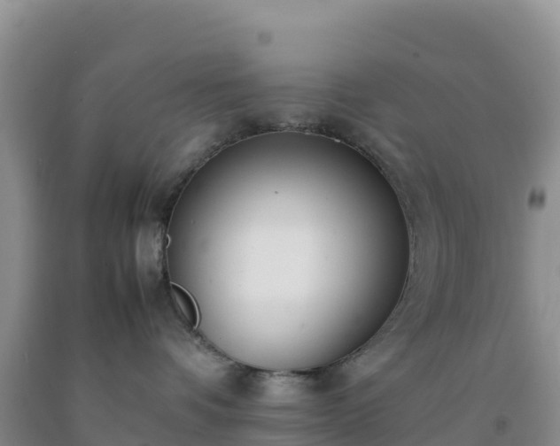 X0000092100336200709191312