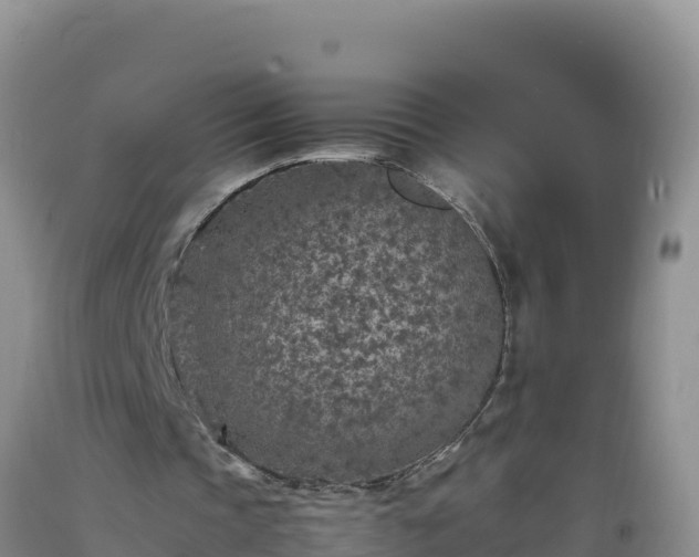 X0000092100337200709191311