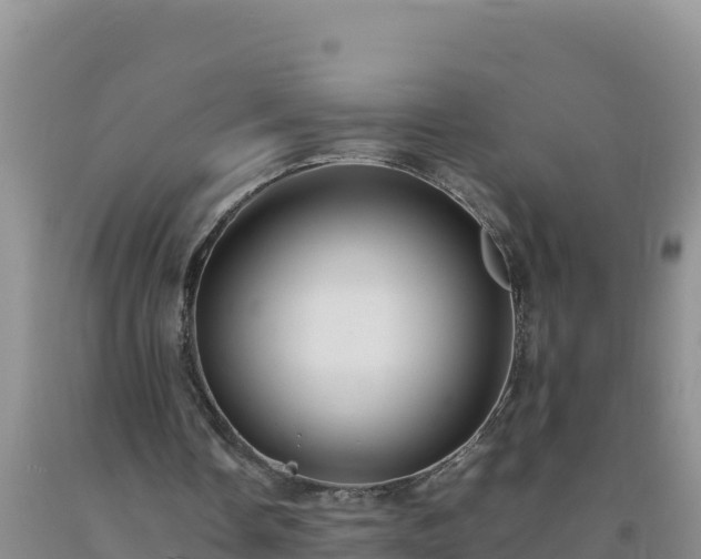 X0000092100338200709191311