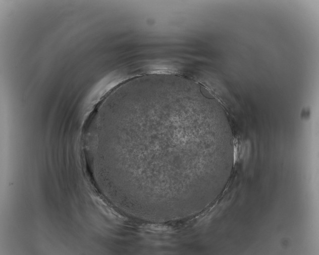 X0000092100339200709191311