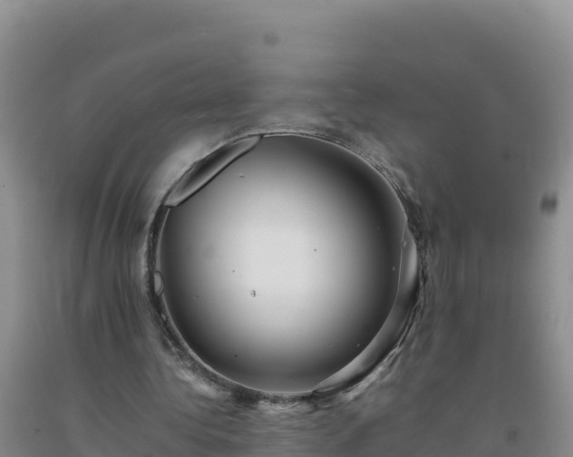 X0000092100340200709191311