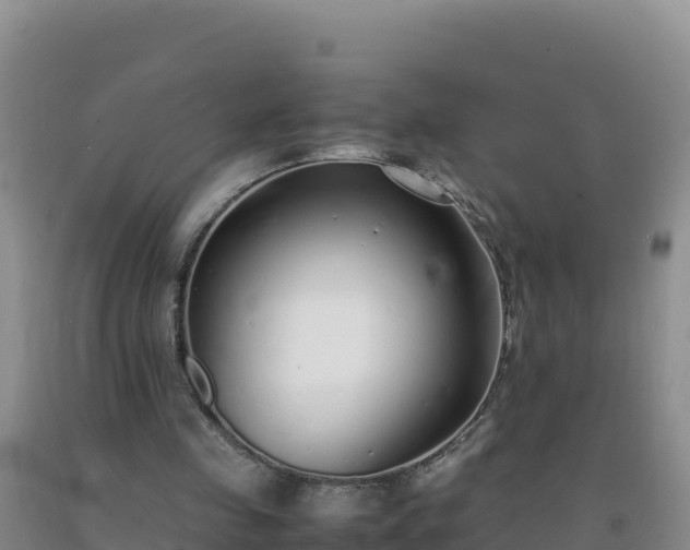 X0000092100341200709191311