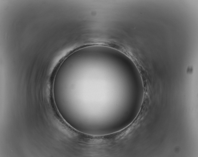 X0000092100342200709191311