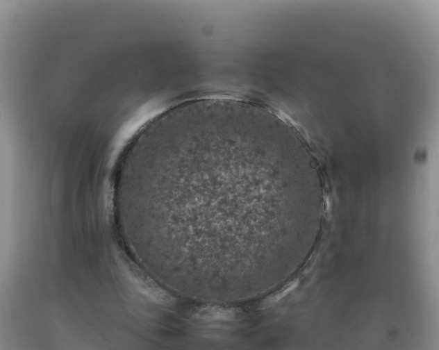 X0000092100343200709191311