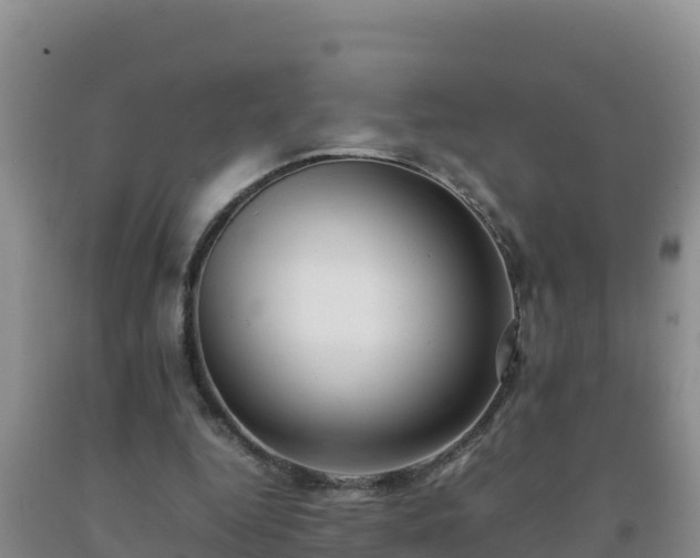 X0000092100344200709191311