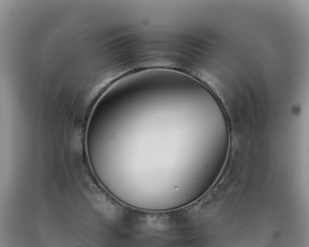 X0000092100345200709191311