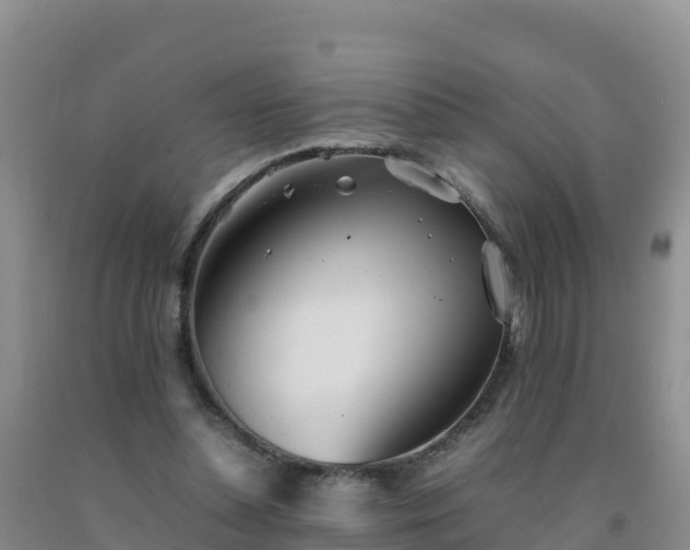 X0000092100348200709191311