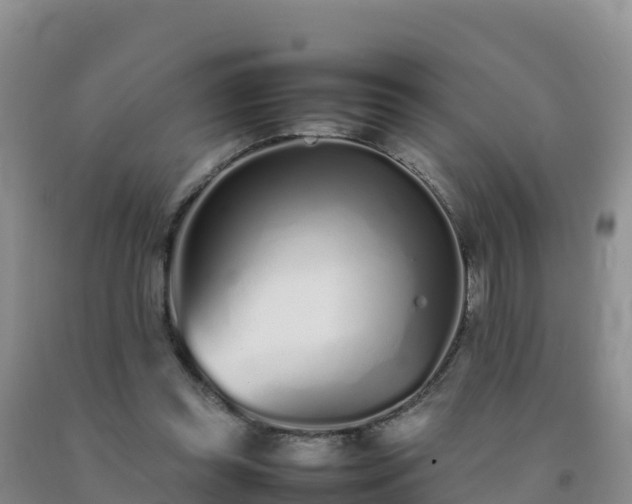 X0000092100349200709191311