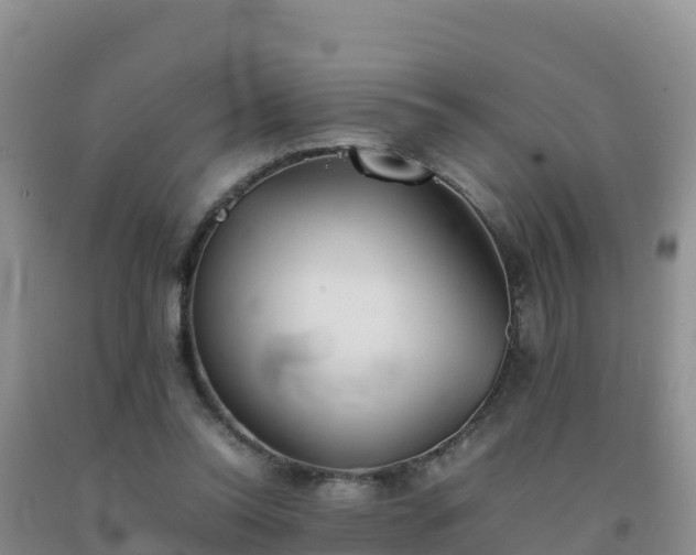 X0000092100350200709191311