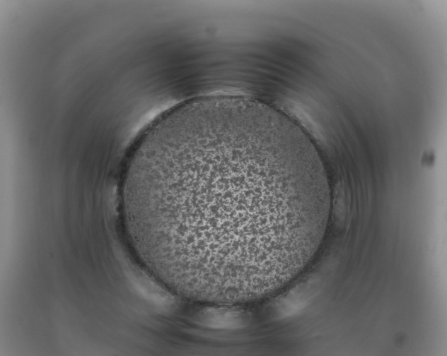 X0000092100351200709191311