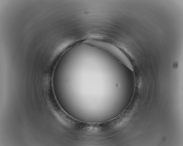 X0000092100352200709191311