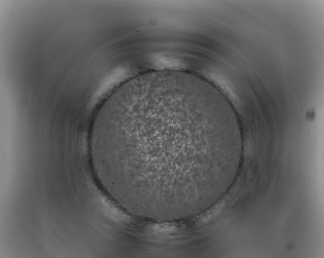 X0000092100353200709191311