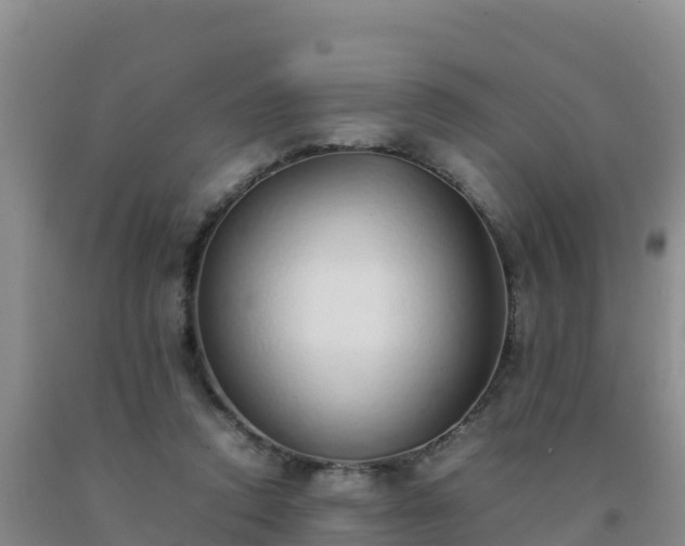 X0000092100354200709191311