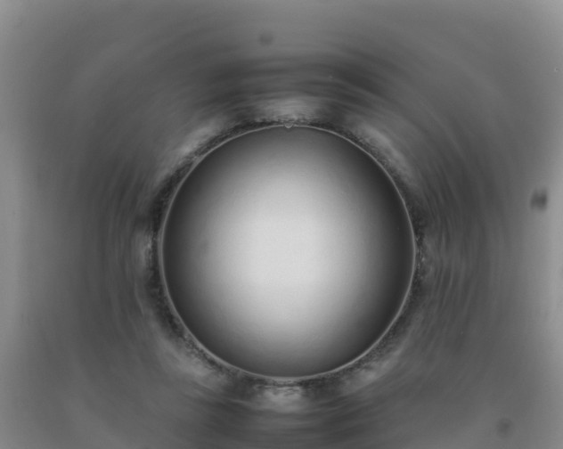 X0000092100355200709191311