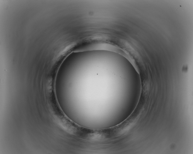 X0000092100356200709191311