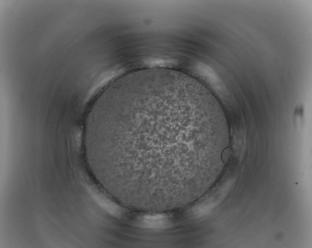 X0000092100357200709191311