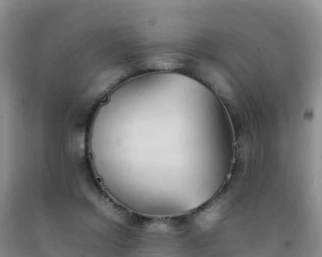 X0000092100358200709191311