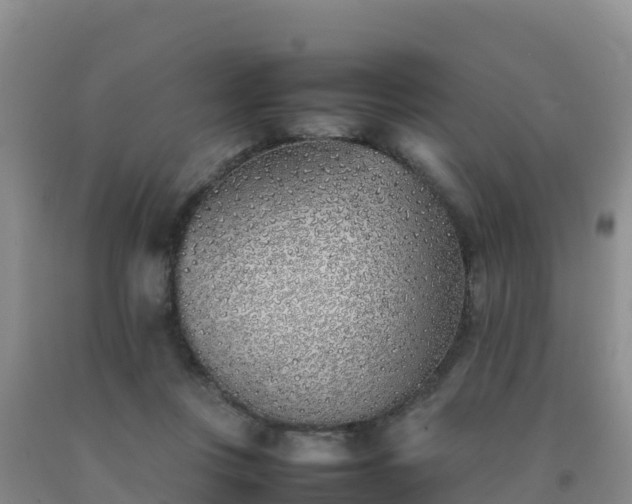 X0000092100359200709191311